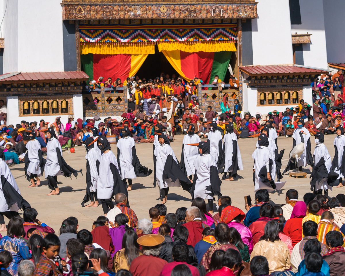 Black-Necked Crane Festival